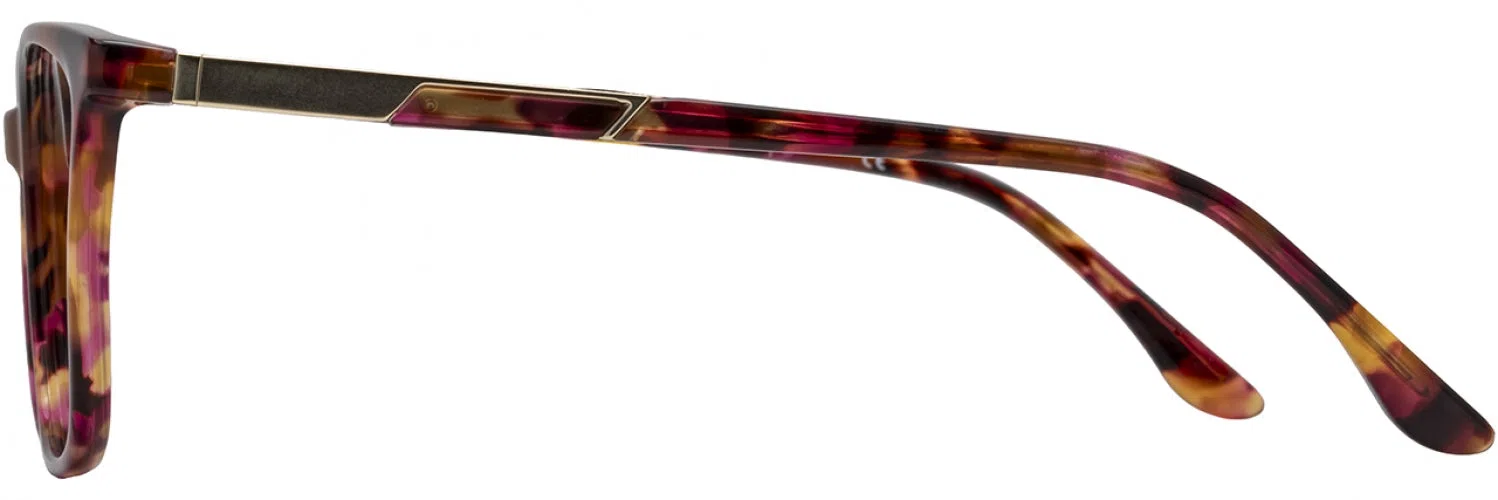 Cote DAzur CDA442 Eyeglasses - view 5